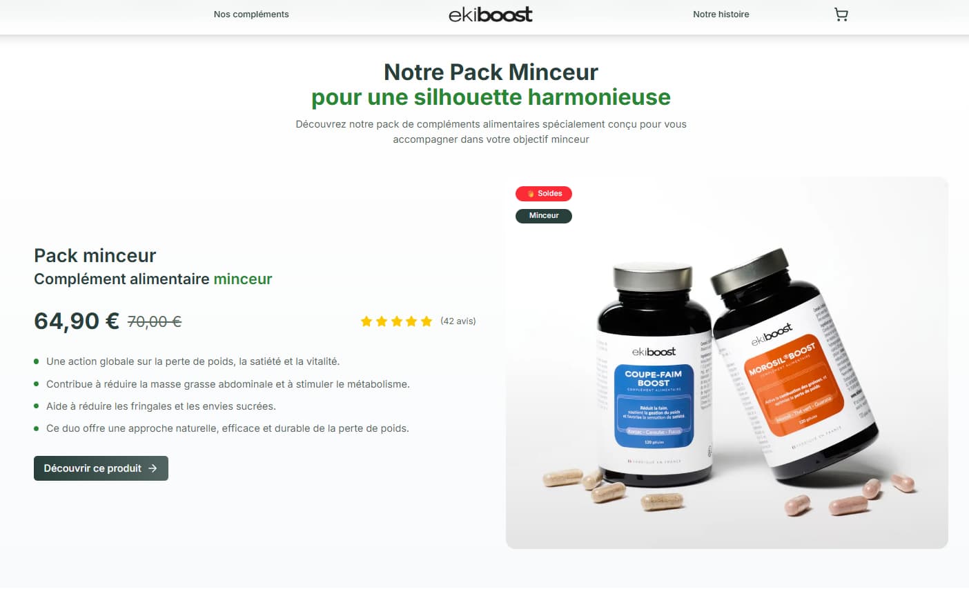 Aperçu du projet Ekiboost